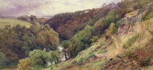 Een dal in Devonshire door Myles Birket Foster