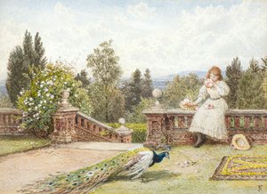 Het terras
