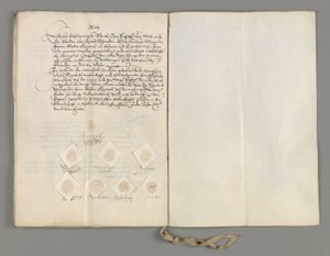 Certificaat van het verdrag in Den Haag gesloten tussen de Staten-Generaal en de Koning van Zweden om het tweede artikel van het verdrag van 5 april te verduidelijken