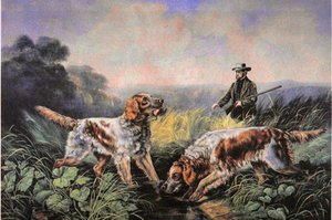 Amerikaanse Veldsporten: Retrieving