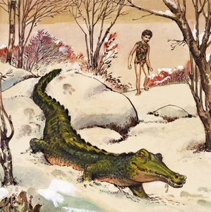 Peter volgt de krokodil, illustratie uit 