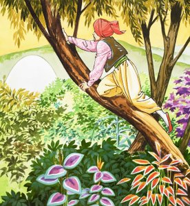 Sinbad de zeeman
