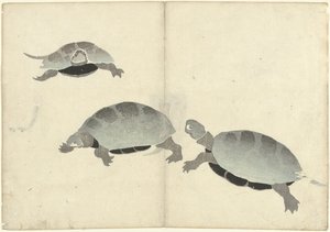 Drie schildpadden door Nakamura Hochu