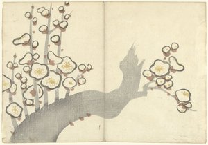 Pruimenbloesem door Nakamura Hochu