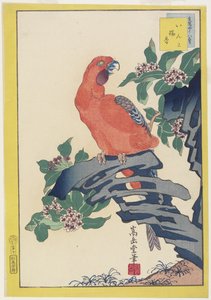 Roze papegaai op rots, 1859