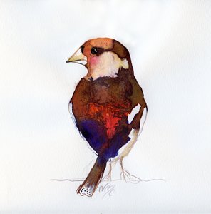 Blozende Appelvink
