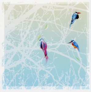 Drie Kleine Vogels, 2016