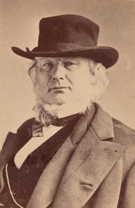 Portret van Horace Greeley 1811-1872, 1869 door Napoleon Sarony