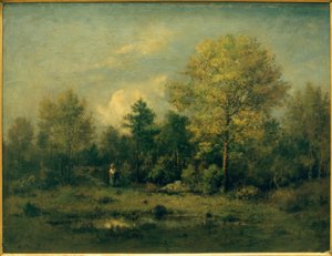 Landschap met vijver in het bos