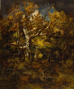 Bos van Fontainebleau, herfst door Narcisse Virgile Diaz de la Peña