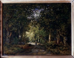 De weg onder het bos