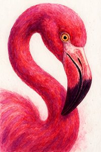 Elegante roze flamingo door Natalie Bruns