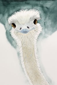 De vrolijke struisvogel uit Afrika door Natalie Bruns