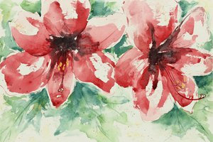 Levendige rode bloemen