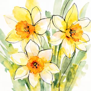 Gele narcissen in bloei