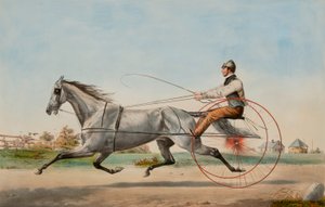 Grijze Eddy door Nathaniel Currier