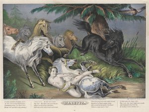 Mazeppa: Plaat 3 van set van Vier (4) Platen (Omringd door Wilde Paarden)