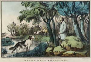 Waterspoor schieten