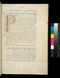 Ms 394.1. Plinius de Oudere, Historia naturalis, f.1r. Verlichte initiaal [P] met witte wijnstokdecoratie (onafgewerkt), Napels, midden 15e eeuw, c.1442 (perkament)