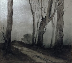 Schaduwen van de Nacht
