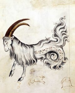 Sloane 3983, f.3v Het sterrenbeeld Steenbok (perkament) door Netherlandish School