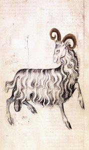 Het sterrenbeeld Steenbok door Netherlandish School