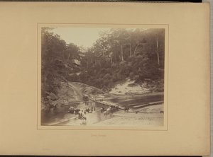 Boven Nepean door New South Wales Government Printing Office