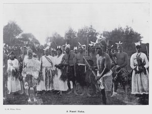 Nieuw Plymouth, Nieuw-Zeeland: Een Maori Haka door New Zealand Photographer