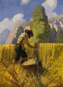 Illustratie voor Robinson Crusoe door Newell Convers (after) Wyeth