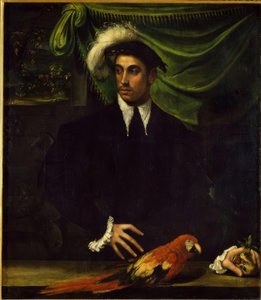 Portret van een jonge man met papegaai door Niccolò dell Abbate