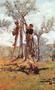 De olijvenoogst, ca. 1892 door Niccolo Cannicci
