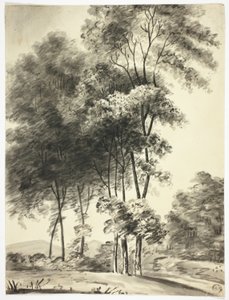 Bomen met bergen in de verte door Nicholas Pocock