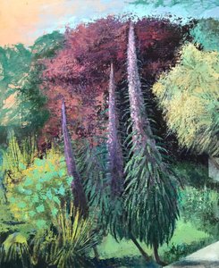 Drie Echiums, 2022-23 (olieverf op board) door Nick Williams