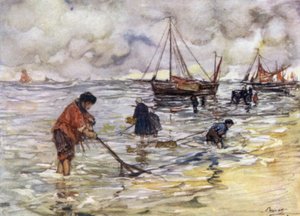 Garnalenvissen
