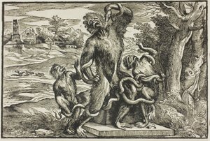Laocoön door Nicolò Boldrini