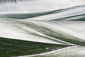 door Nicola Figliuolo