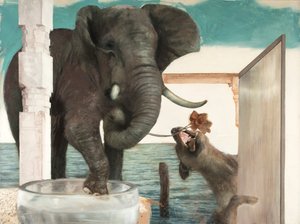 Olifant met hond