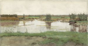 Een waterplas in een weiland