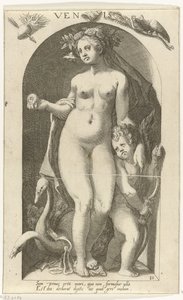 Venus door Nicolaas Braeu