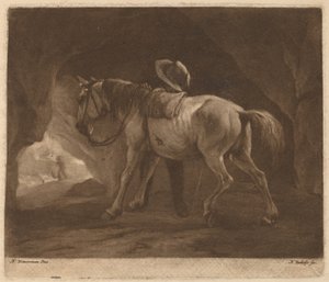 Het plassende paard