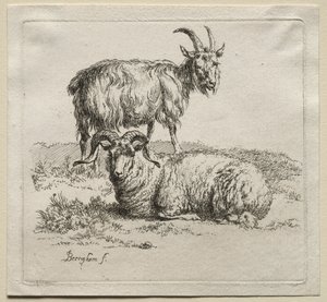 Animalia: Ram en Geit door Nicolaes Berchem