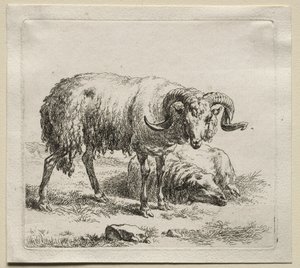 Animalia: Ram en schaap door Nicolaes Berchem