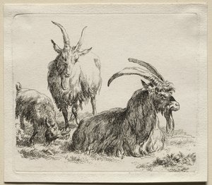 Dieren: Drie Geiten door Nicolaes Berchem