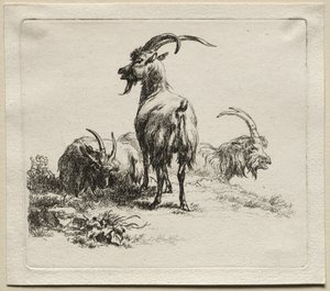 Dieren: Drie geiten door Nicolaes Berchem