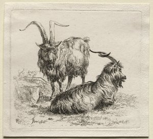Animalia: Twee Geiten door Nicolaes Berchem