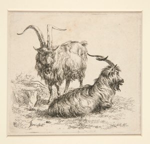 Geiten (uit door Nicolaes Berchem