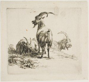 Geiten, uit Verschillende Dieren door Nicolaes Berchem