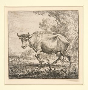 De Set van de Koeien, met de Melkmeid