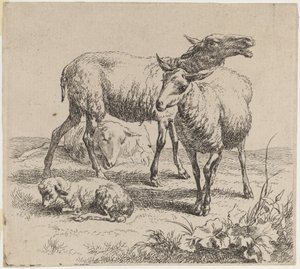 Drie schapen en een lam door Nicolaes Berchem