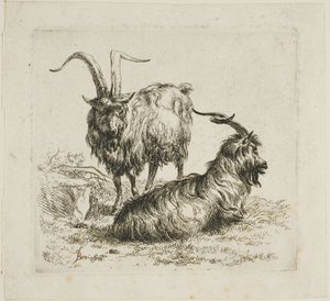 Twee geiten met grote hoorns, uit Diverse dieren door Nicolaes Berchem